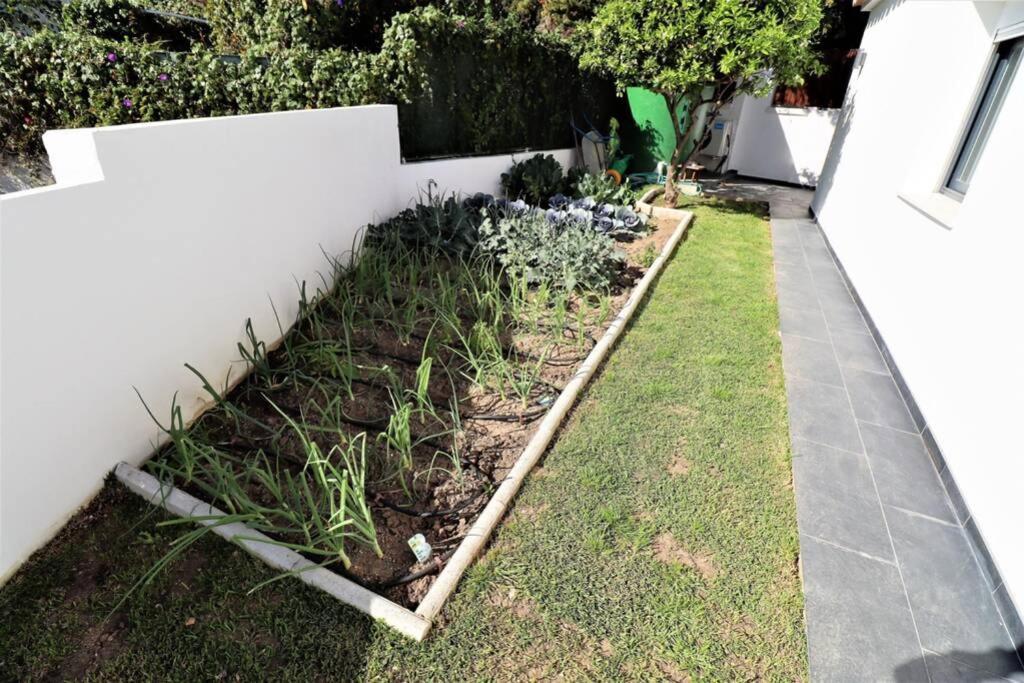 Hoyo 19 Marbella Exterior foto